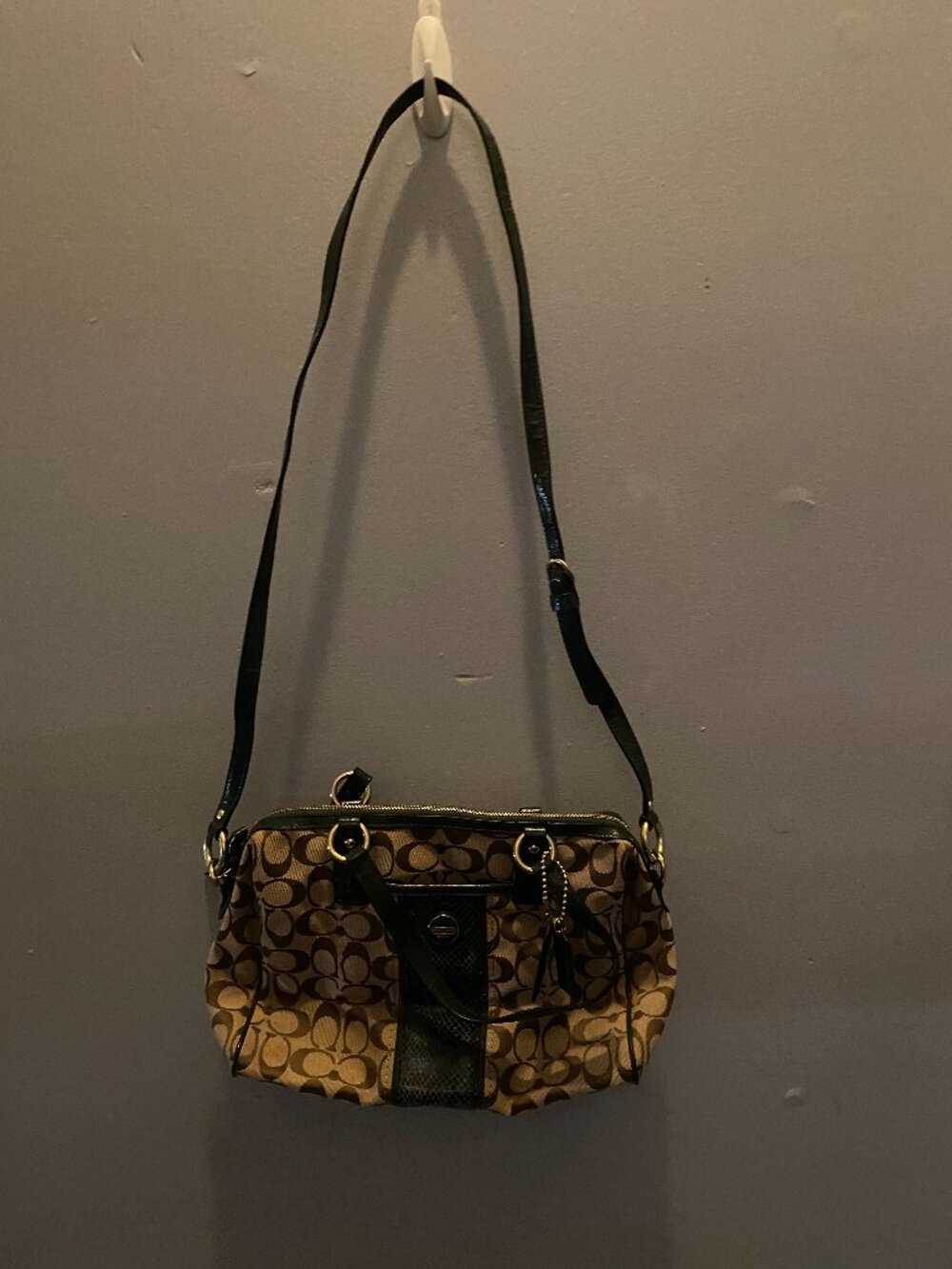 Coach Crossbody Bag